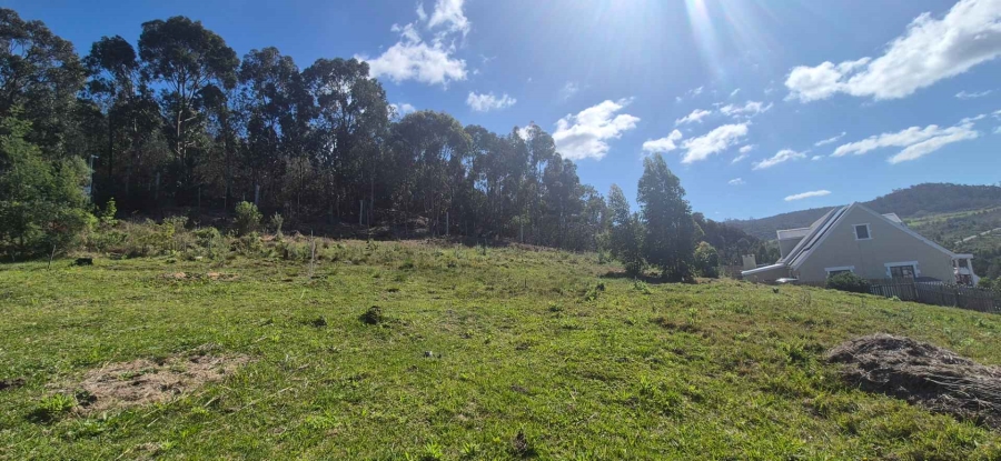 0 Bedroom Property for Sale in Green Pastures Western Cape